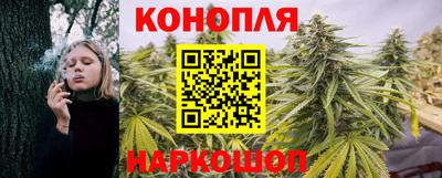 стаф Кулебаки