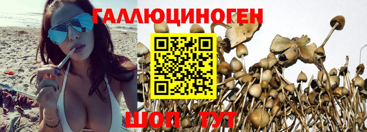 Галлюциногенные грибы мухоморы Салехард